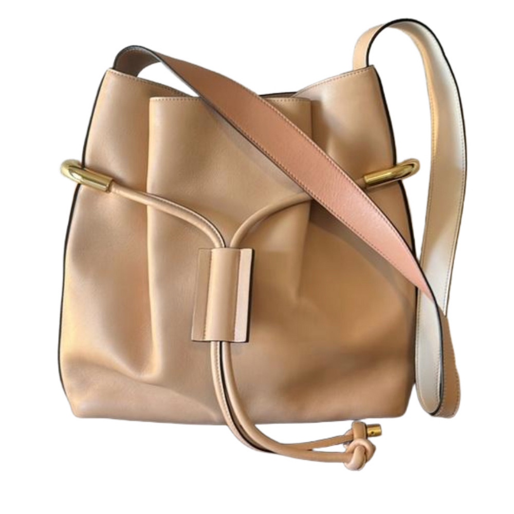 Chloe Calfskin Blush Nude Pink / Beige / Tan/ Gold Emma Drawstring Bag - Picture 2 of 5